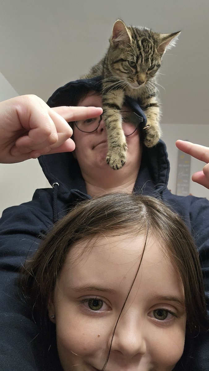 TypicallyTobi's tweet photo. The kittens are here!!! And it's going.... well? https://t.co/R9fFeFqkaS