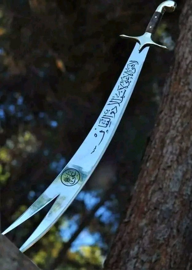 Transporter tweet media