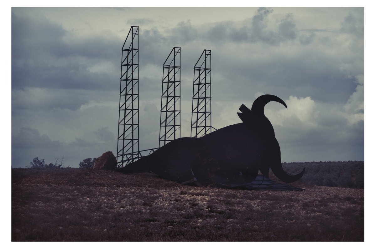 Paco Puentes 📸 tweet media