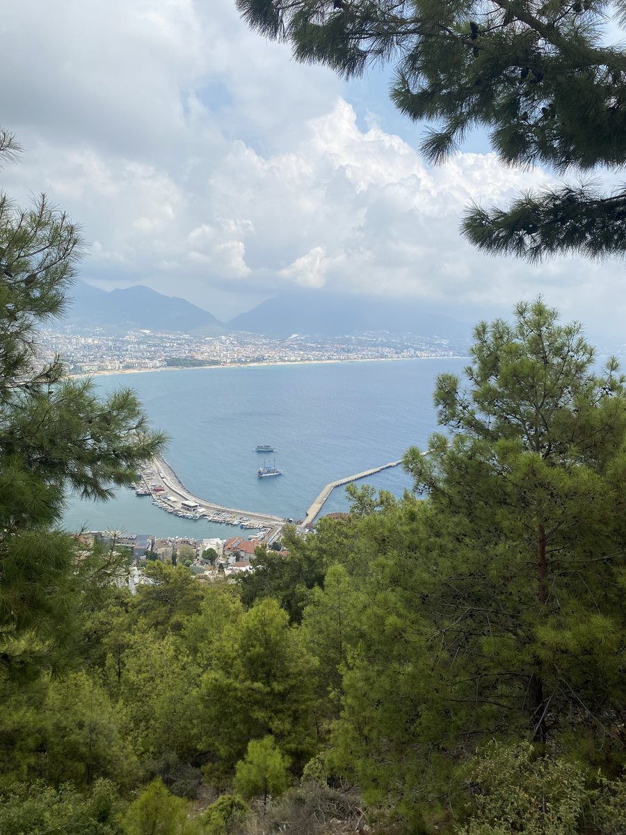 Yalnız olmadan yalnız olmayı öğrenmek zaman alır.. 
Ama bunu bir kez yaptığınızda buna özgürlük denir.

#nature  #life #music #birthday #CumhuriyetBayramımız 
Neel Panchal