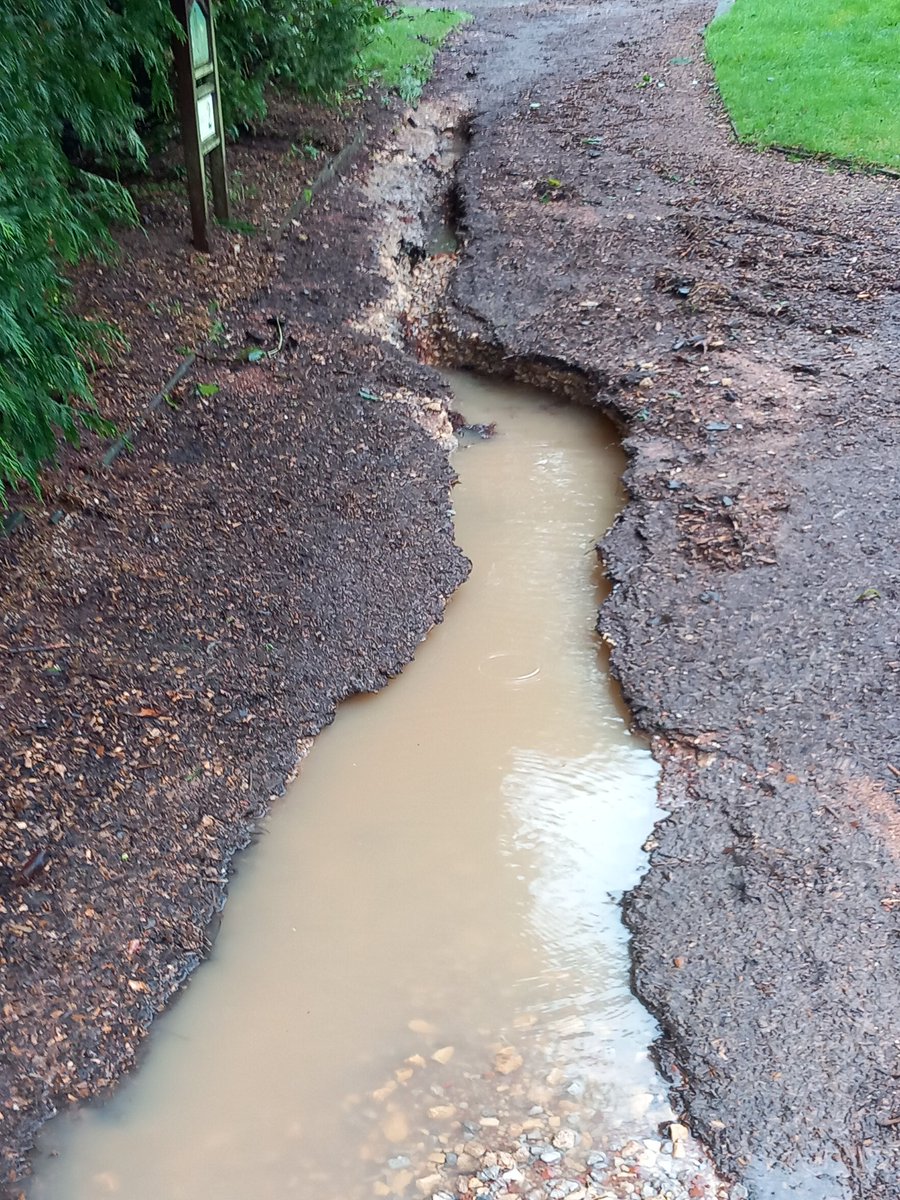 Some damage from last night's 30mm downpour. Total rainfall for October so far 180mm and counting 🙆‍♀️