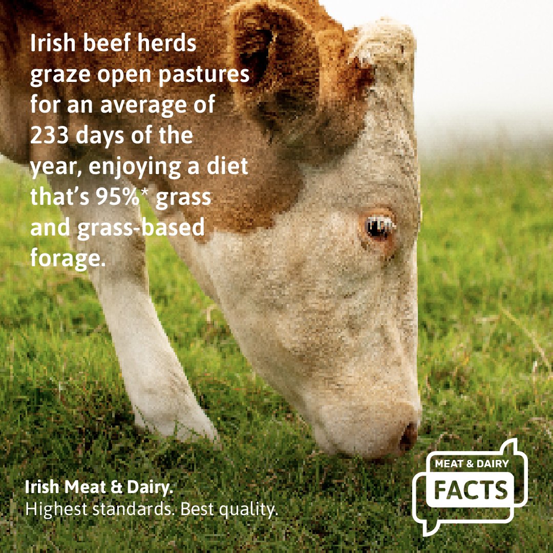 Ireland's pasture-based system means less waste, less energy use, less water use, and better quality meat and dairy. 👩🏼‍🌾