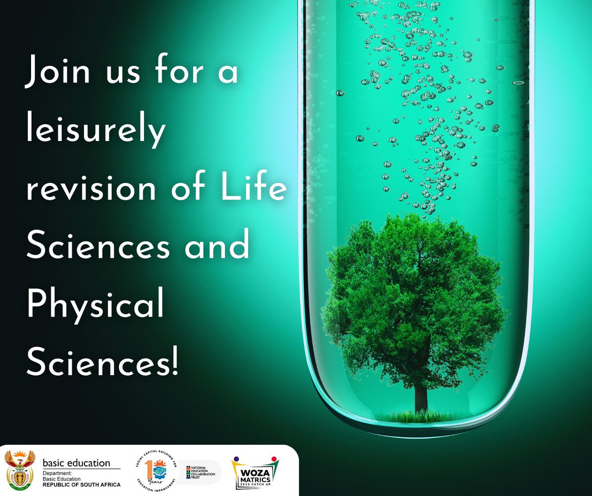 wozamatrics's tweet photo. On DBEtv Channel 122 on Openview today, we offer a range of Life Sciences and Physical Sciences lessons. Watch all day to top up your revision!

#SmartIsTheNewCool #DBEmatricsupport #SABC+#Openview #DBE #MatricExams #Matric2023 #Matricfinals #matriculation #WozaMatrics https://t.co/y2WLemho6f
