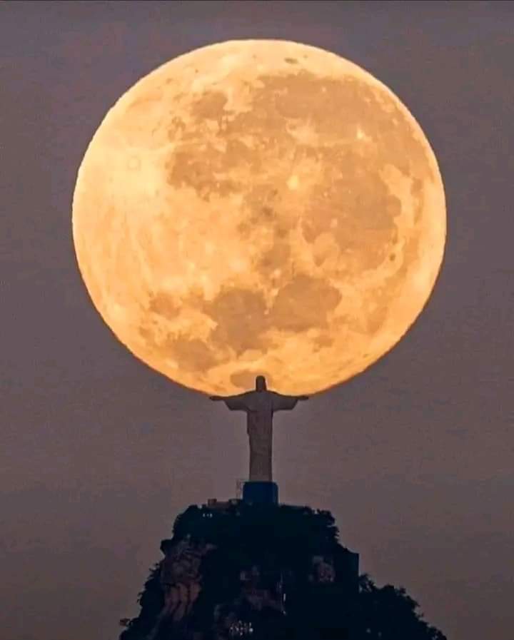 Roland Wingo (@rolandwingo1) on Twitter photo 