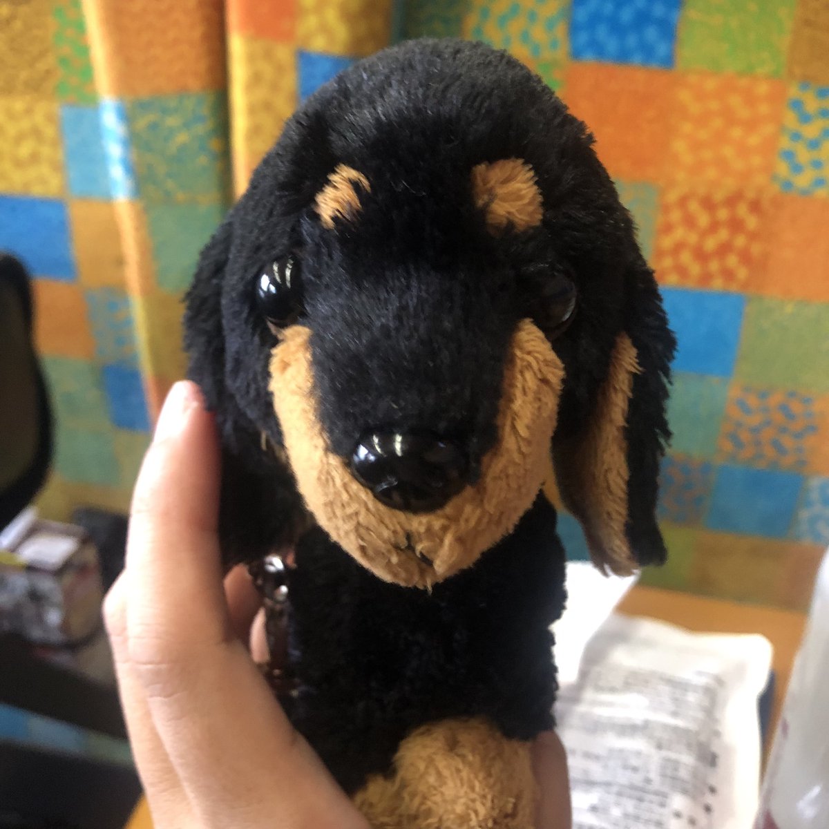 Emichqmq's tweet photo. 愛犬が亡くなり
大切にいっしょに過ごしてきた
チビドンちゃん。

ﾊｳｽﾃﾝﾎﾞｽ旅行中
最後の最後に落としてしまったのか
いなくなってしまいました。

もしもお見かけされた方
いらっしゃいましたら
教えてほしいです
大切な相棒です

#ハウステンボス
#落とし物
#秘密結社老犬倶楽部天国支部 https://t.co/Uxp0E7cYxF