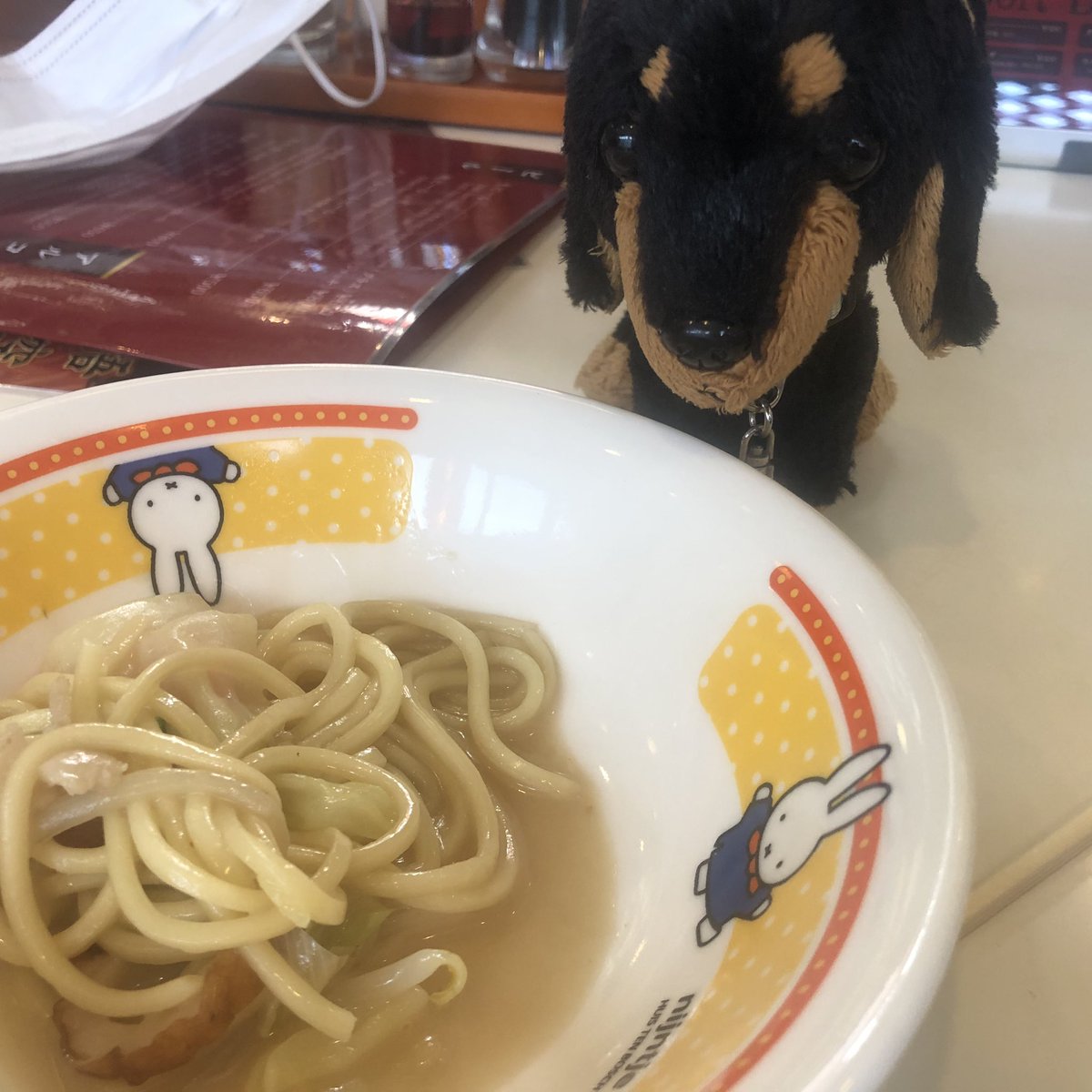 Emichqmq's tweet photo. 愛犬が亡くなり
大切にいっしょに過ごしてきた
チビドンちゃん。

ﾊｳｽﾃﾝﾎﾞｽ旅行中
最後の最後に落としてしまったのか
いなくなってしまいました。

もしもお見かけされた方
いらっしゃいましたら
教えてほしいです
大切な相棒です

#ハウステンボス
#落とし物
#秘密結社老犬倶楽部天国支部 https://t.co/Uxp0E7cYxF