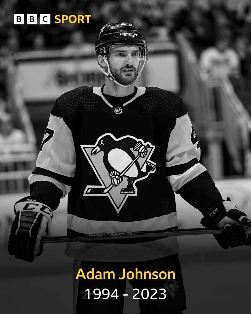 Nottingham Panthers player Adam Johnson has passed away after a "freak accident" against the Sheffield Steelers