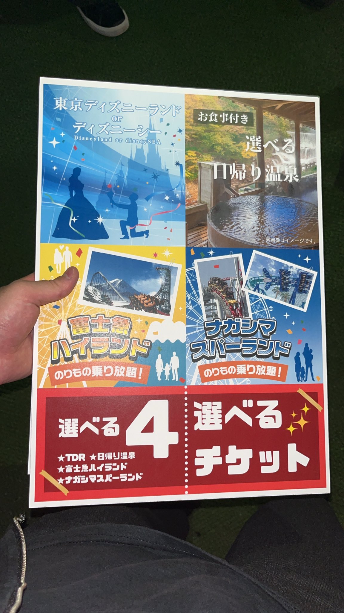 選べる4　日帰り温泉、富士急、ディズニー、ナガスパ　ペアチケット引換券ペアチケット