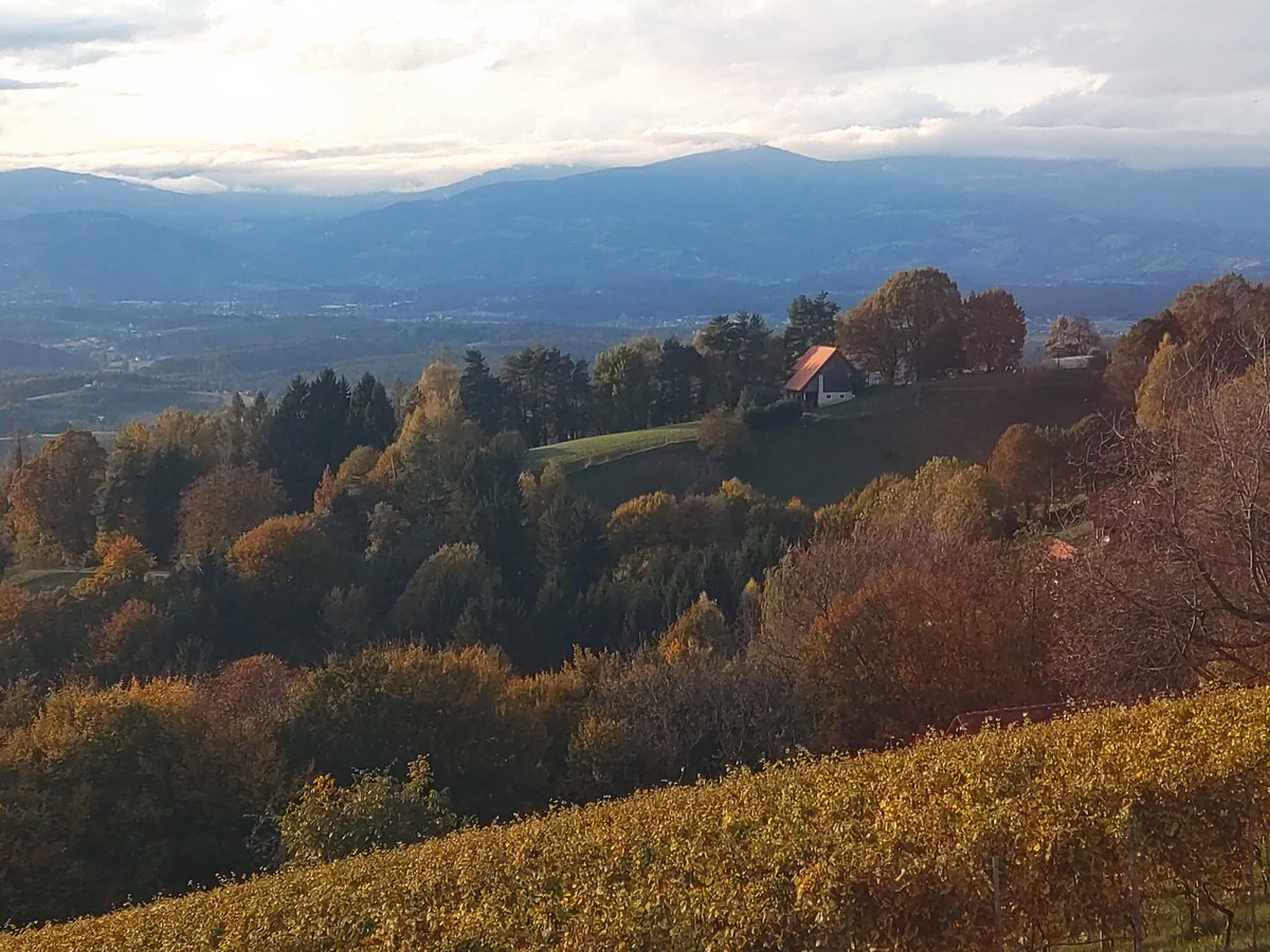 cheerssu's tweet photo. Altweibersommer ... #steiermarkliebe #October2023
@StormHour
@ThePhotoHour https://t.co/hQENLouE2d