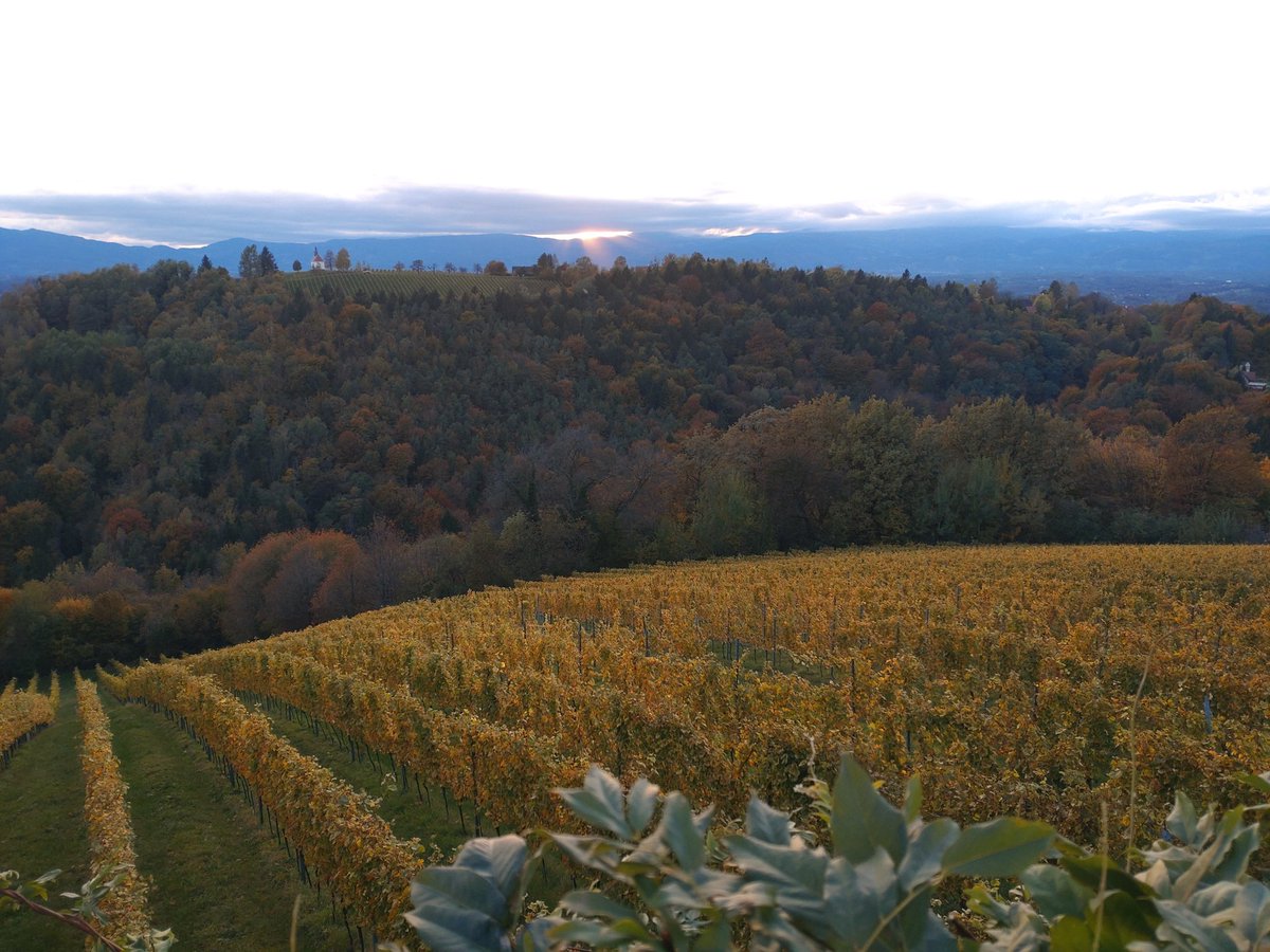 cheerssu's tweet photo. Altweibersommer ... #steiermarkliebe #October2023
@StormHour
@ThePhotoHour https://t.co/hQENLouE2d