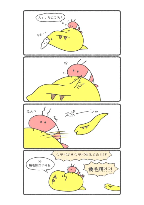 ウツボの換毛期