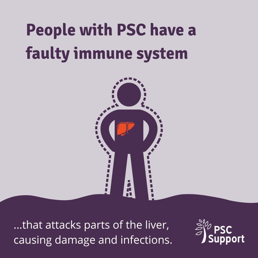 On #WorldPSCDay we want to flood the internet with #PSCinformation. #PSC is a rare &amp; often misunderstood disease. Let's raise the volume and encourage more conversations. Share your story and our posts to spread the word. 💬#GlobalPSCAwareness #PSCAwareness #RareDiseaseAwareness