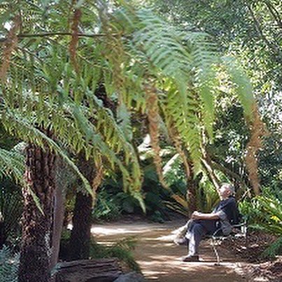 Humans in Geelong tweet media