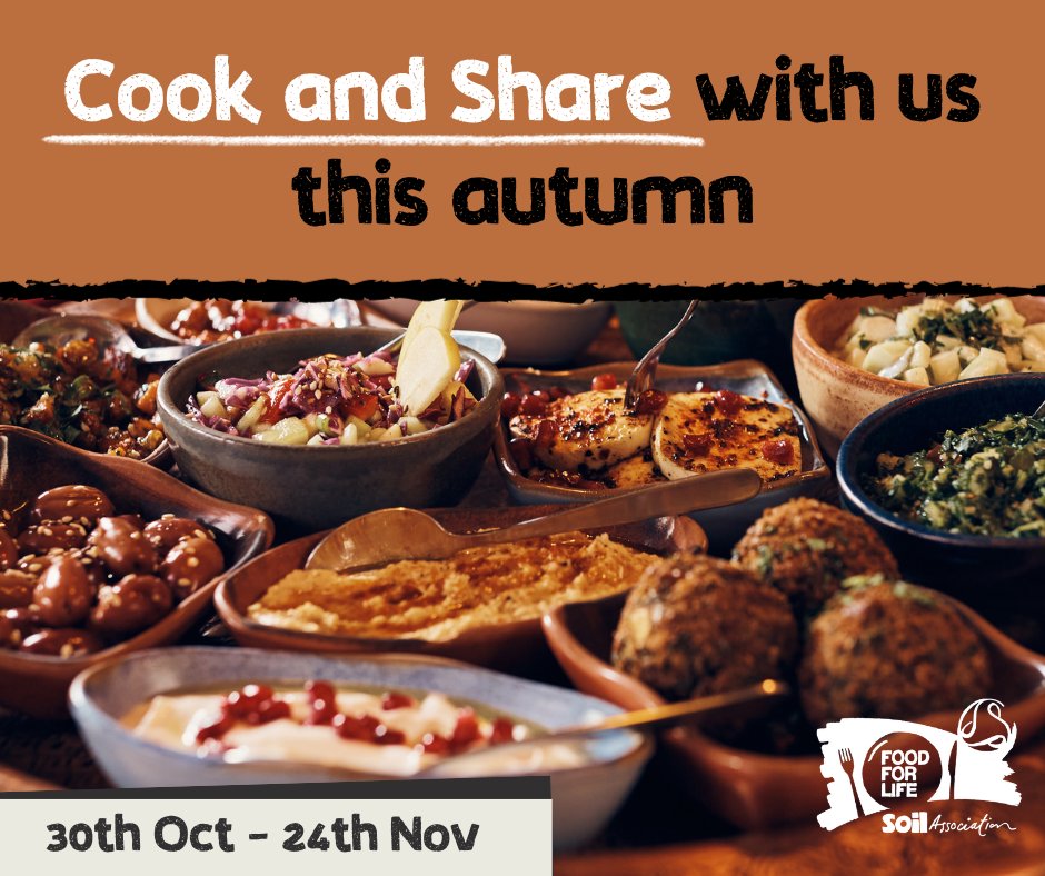 Kicking off this Monday!
Give back to your community by holding a @SAfoodforlife #CookAndShare event this autumn, whether at your local community centre, village hall or shared kitchen. 🍲 🍴
It's not too late to get involved and register your event now 👇
fflgettogethers.org/get-involved/c…