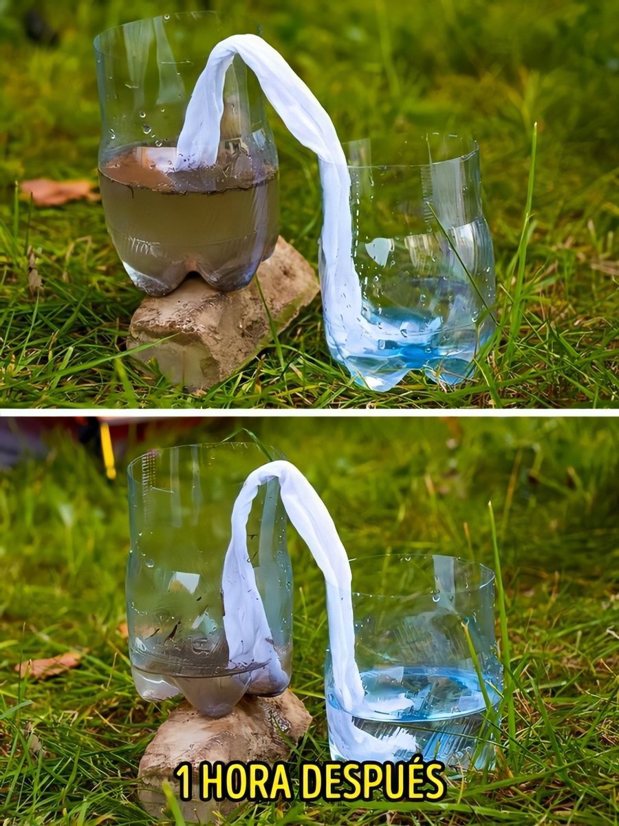 EcoInventos's tweet photo. Cómo filtrar agua en caso de emergencia con un trozo de tela 🥤 https://t.co/HJMjUgM3qI