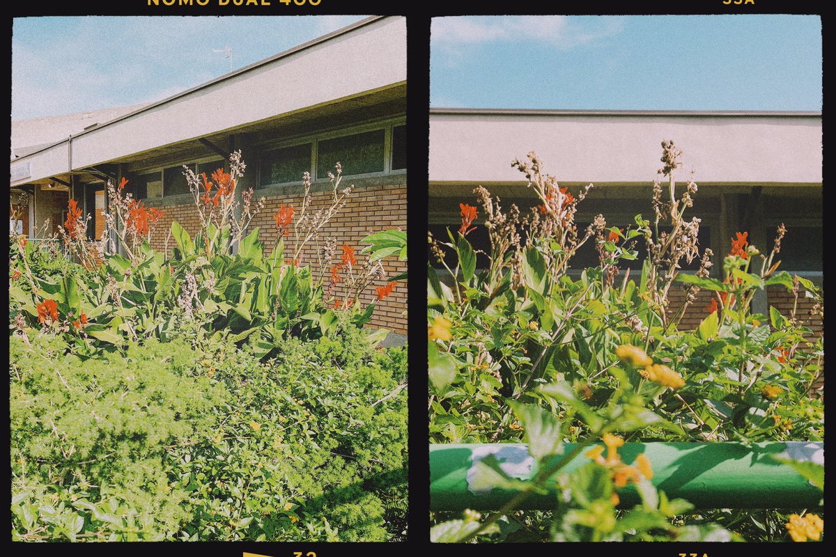 dual_frames's tweet image. October in Sicily 🌺🌞