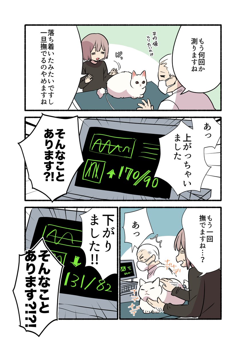 猫の血圧測ったらとんでもないことが判明した話 再掲(2/2) #愛されたがりの白猫ミコさん #漫画が読めるハッシュタグ