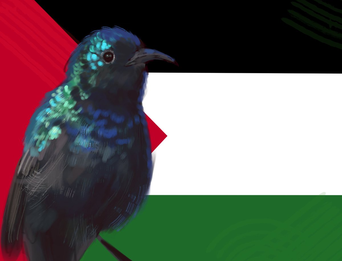 Tempo 🍉 tweet media