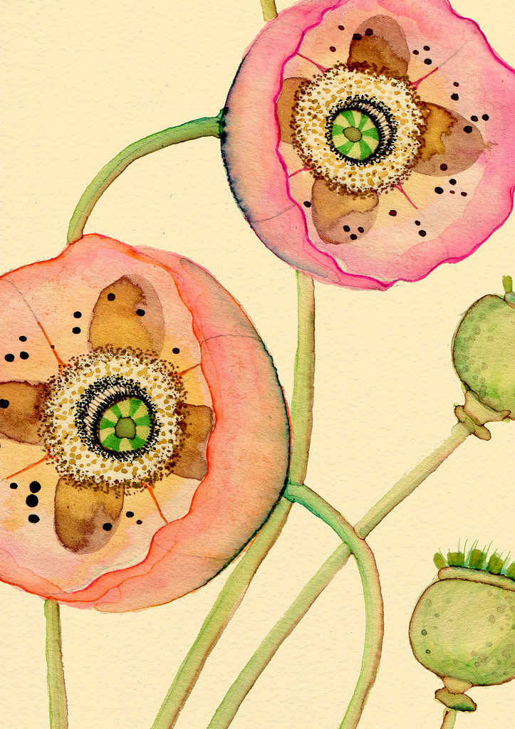 "Poppies' by Colleen Parker, contemporary artist and illustrator #WomensArt