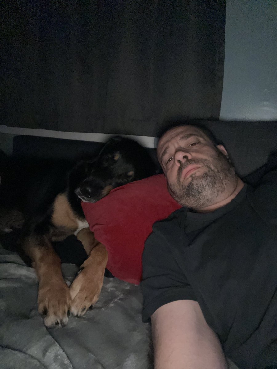 colintheleeder's tweet photo. 5:00 am couch snuggled with Ms. Ruby πΎπ #BernWeiler #Rotti #BerneseMountainDog https://t.co/nGMc4Odqm7