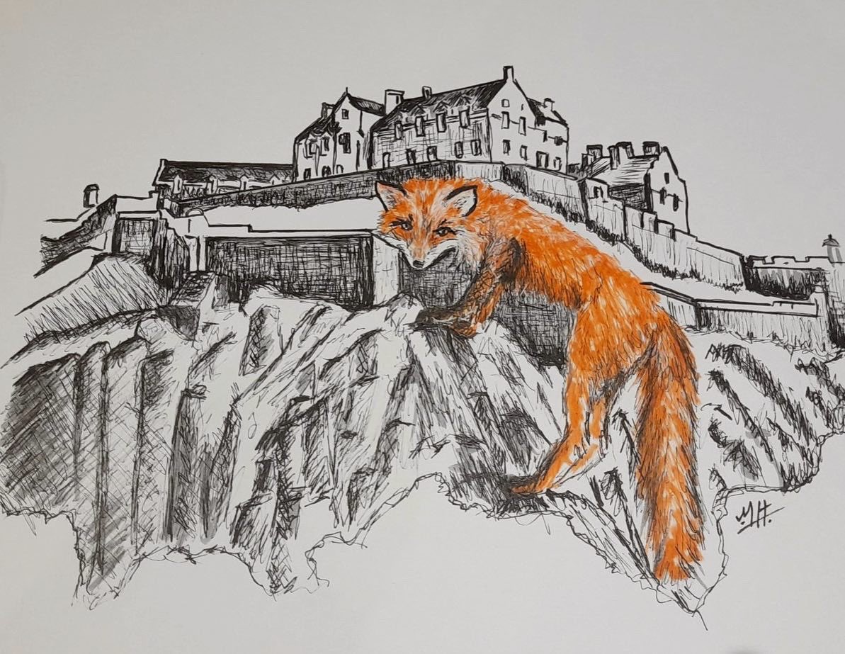 EdinburghFoxInk's tweet photo. #inktoberday29 and todays prompt is ‘Massive’ and to follow my theme I’ve done a massive fox 🦊 #inktober #inktober2023 #inktober2023massive #massive #edinburghcastle #edinburgh #edinburghfox #inkdrawing #inktober2023day29 #inktober52 https://t.co/NXuHKjnDCQ