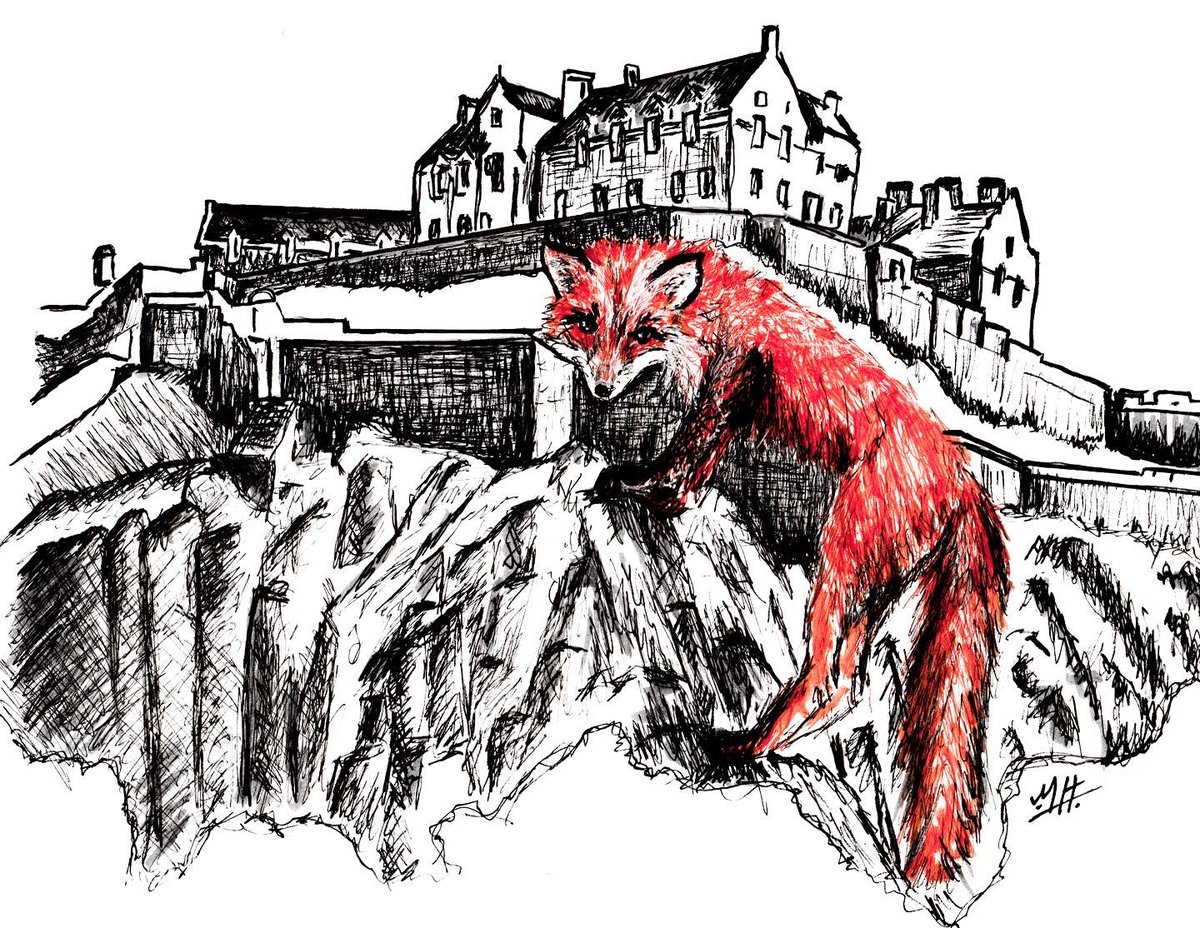 EdinburghFoxInk's tweet photo. #inktoberday29 and todays prompt is ‘Massive’ and to follow my theme I’ve done a massive fox 🦊 #inktober #inktober2023 #inktober2023massive #massive #edinburghcastle #edinburgh #edinburghfox #inkdrawing #inktober2023day29 #inktober52 https://t.co/NXuHKjnDCQ
