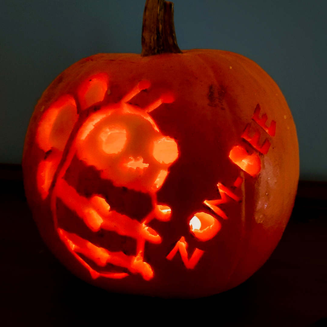 BumblebeeTrust's tweet photo. What do you call a bumblebee that has returned from the dead?

A zombee! 🧟🐝

Are you getting ready for Halloween this weekend? Share your wicked wildlife-themed pumpkins below 👇🏽📷🎥

🎃 Katy Malone, Conservation Officer https://t.co/7IGcXBujGI