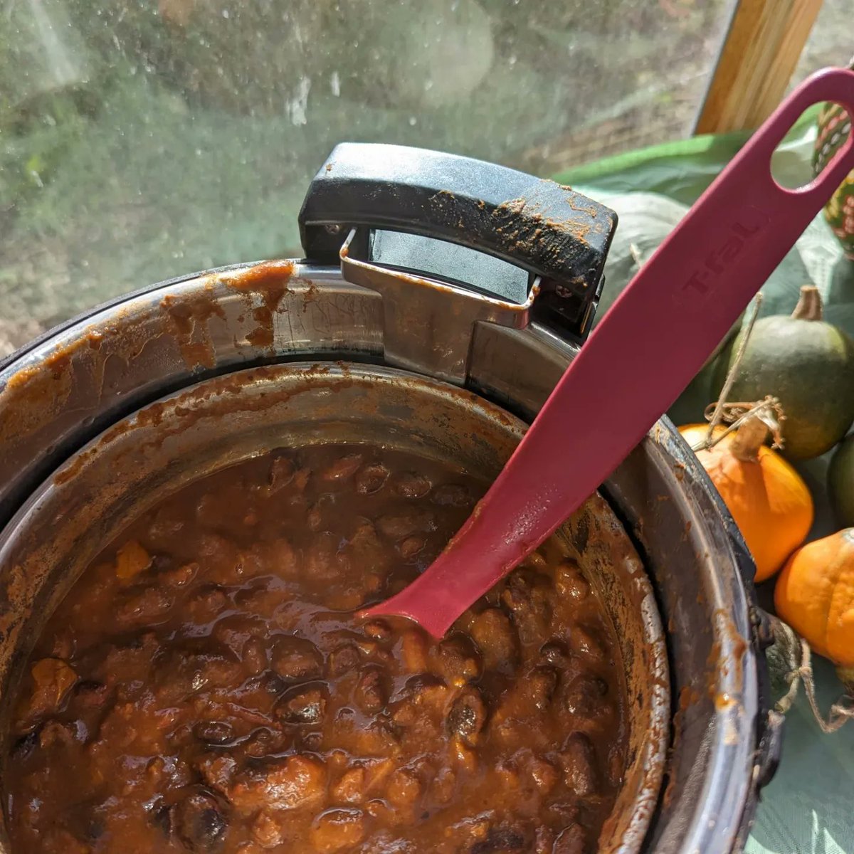 MashiriAletheia's tweet photo. Thank you to Oliwia for cooking up the Saplings school garden 'Three Bean Chilli' with her @TreeHouse_Sch  learner. It was enjoyed immensely at our #RonsPlot Community Allotment 'Cook and Share' #Hitchin.  @RHSSchools @cipermaculture  #LifeSkills #autism https://t.co/PvWv6WKkMz