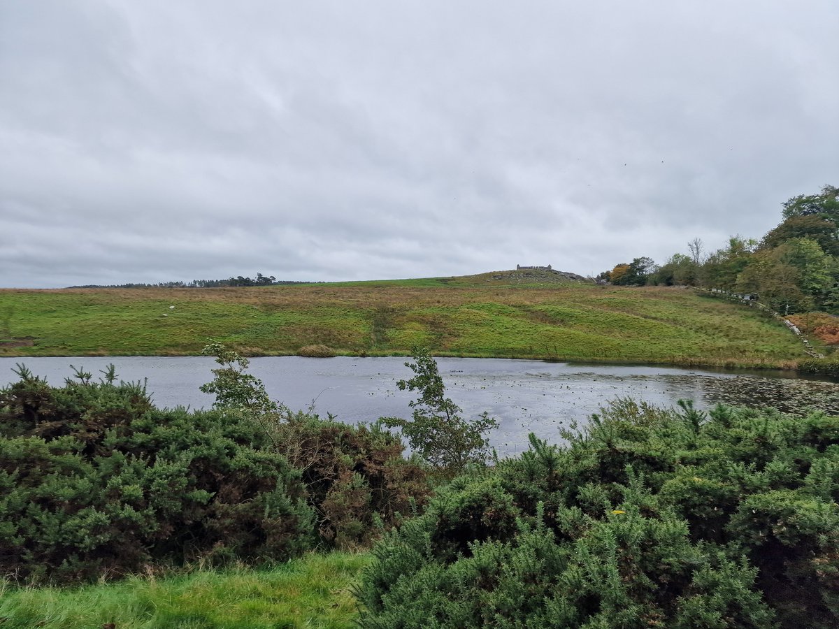 Simon J Bainbridge🇺🇦🐮🐑☘️🌺...🏍 tweet media