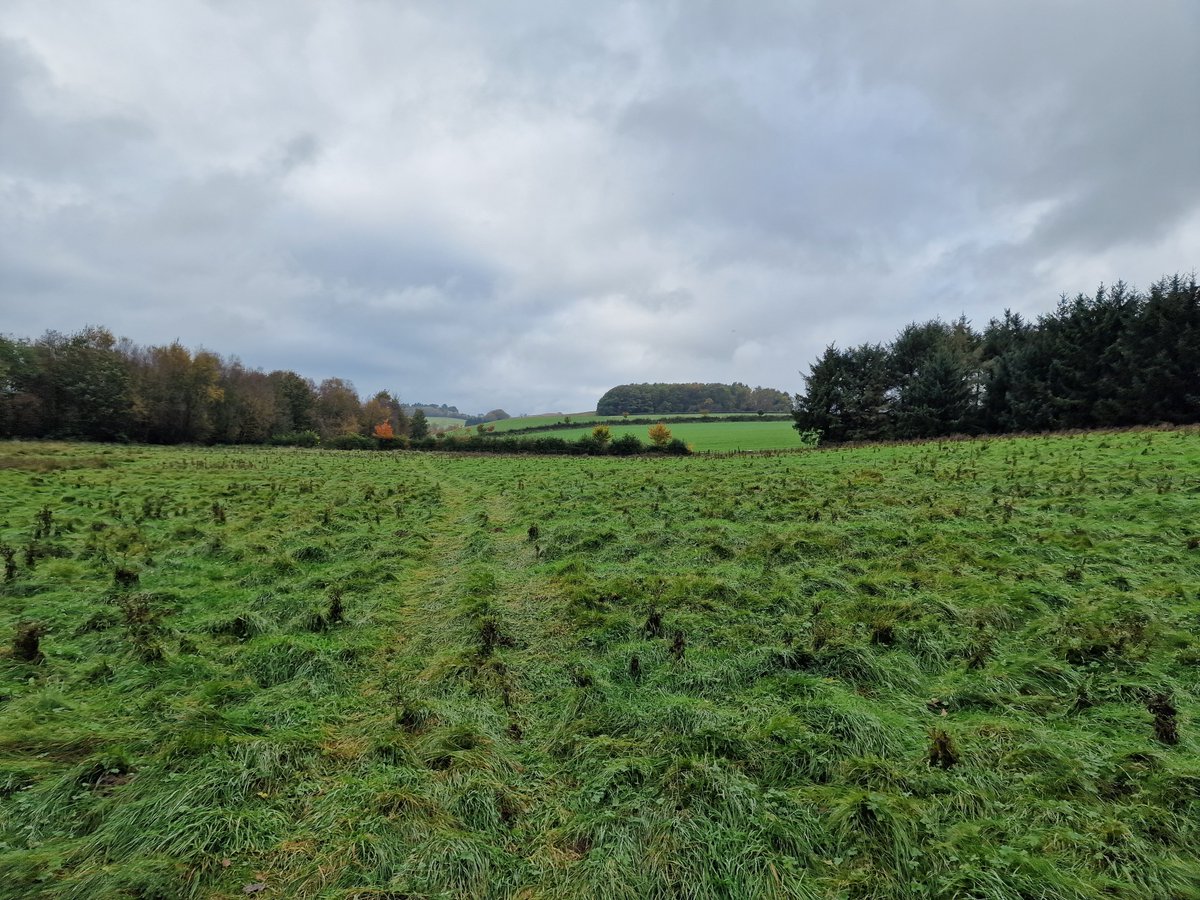 Simon J Bainbridge🇺🇦🐮🐑☘️🌺...🏍 tweet media