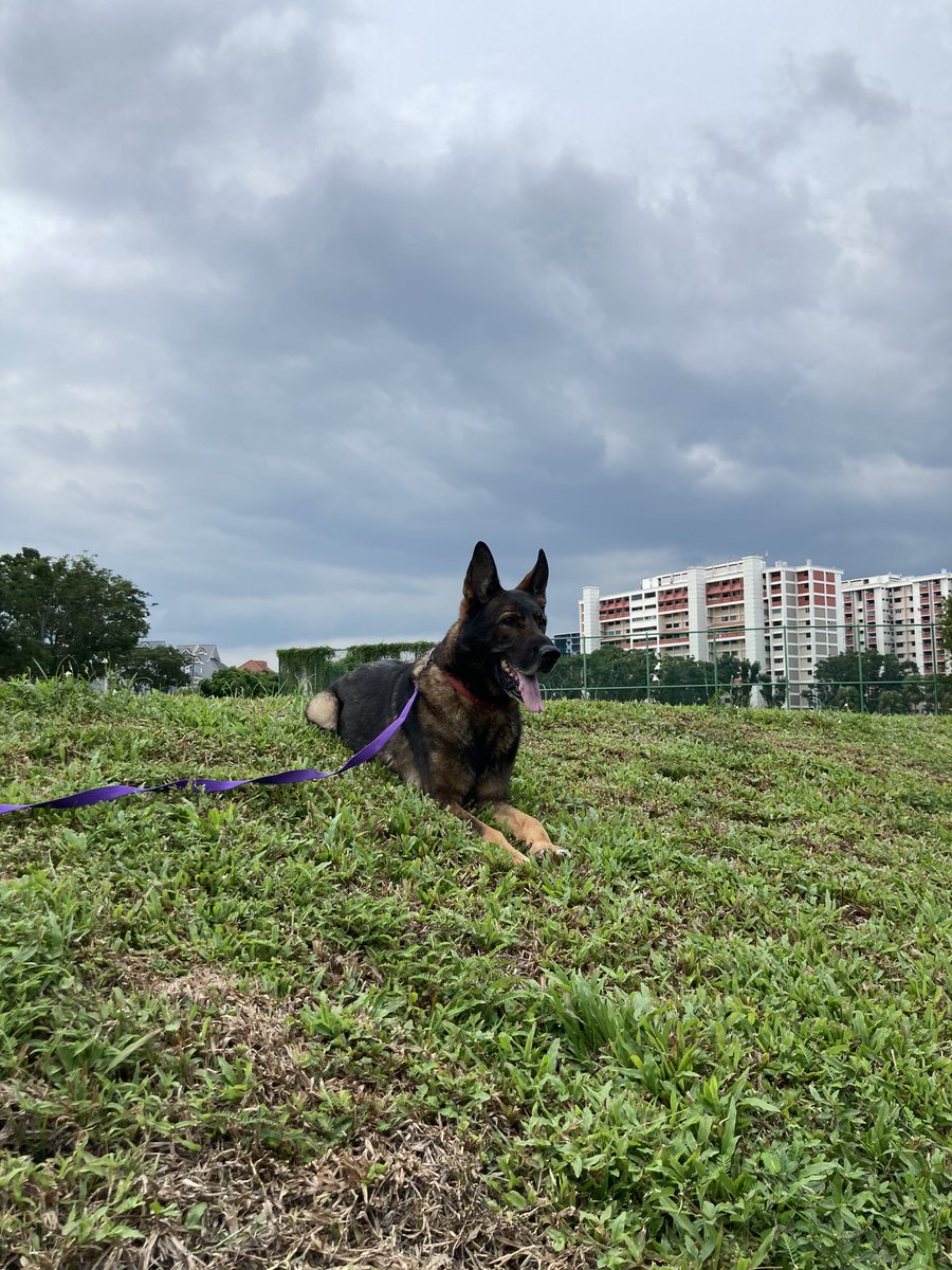 campjngwastaken's tweet photo. We are releasing our EP very soon here’s a photo of the best dawg in the world https://t.co/N0rpRkgyYM
