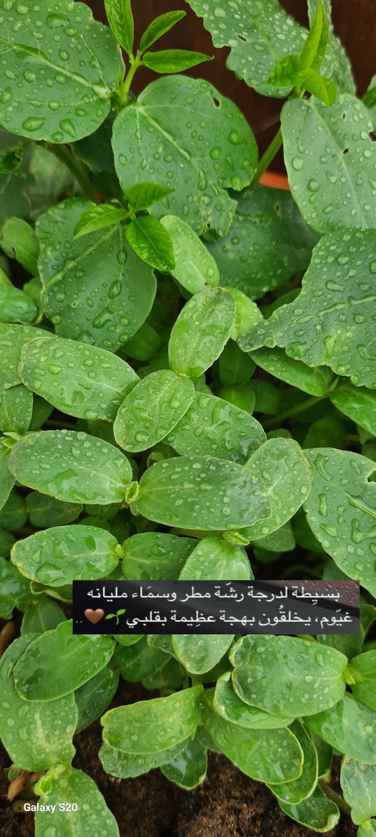 Methani91_'s tweet photo. #منخفض_جوي https://t.co/x4g1Ns4EWY