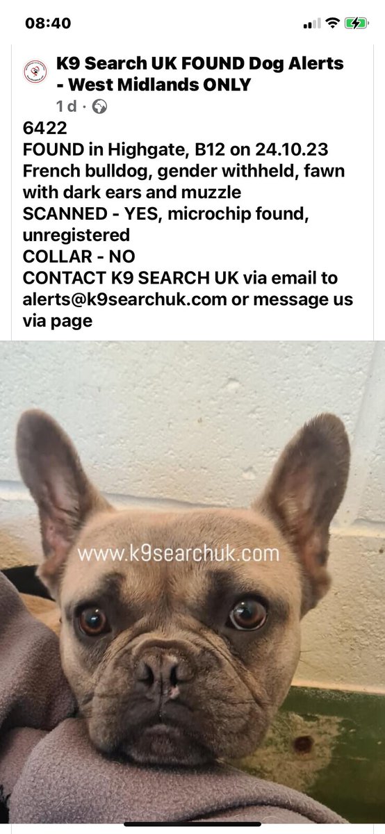 #founddog #frenchbulldog  #uk