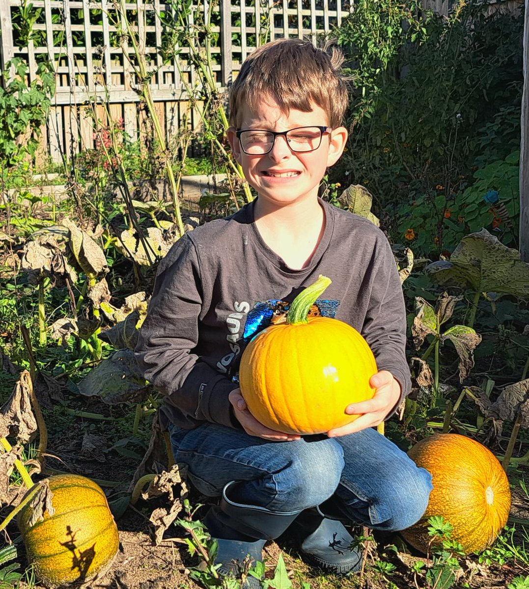 Look at these Pumpkins we have grown <a href="/ShoresideYear4/">Shoreside Year 4</a> <a href="/MrPowerREMAT/">Mr Power</a> <a href="/Shoreside1234/">Shoreside Primary School</a> <a href="/MissKnipeREMAT/">Miss Knipe</a> <a href="/MissJanssen01/">Miss Janssen</a>