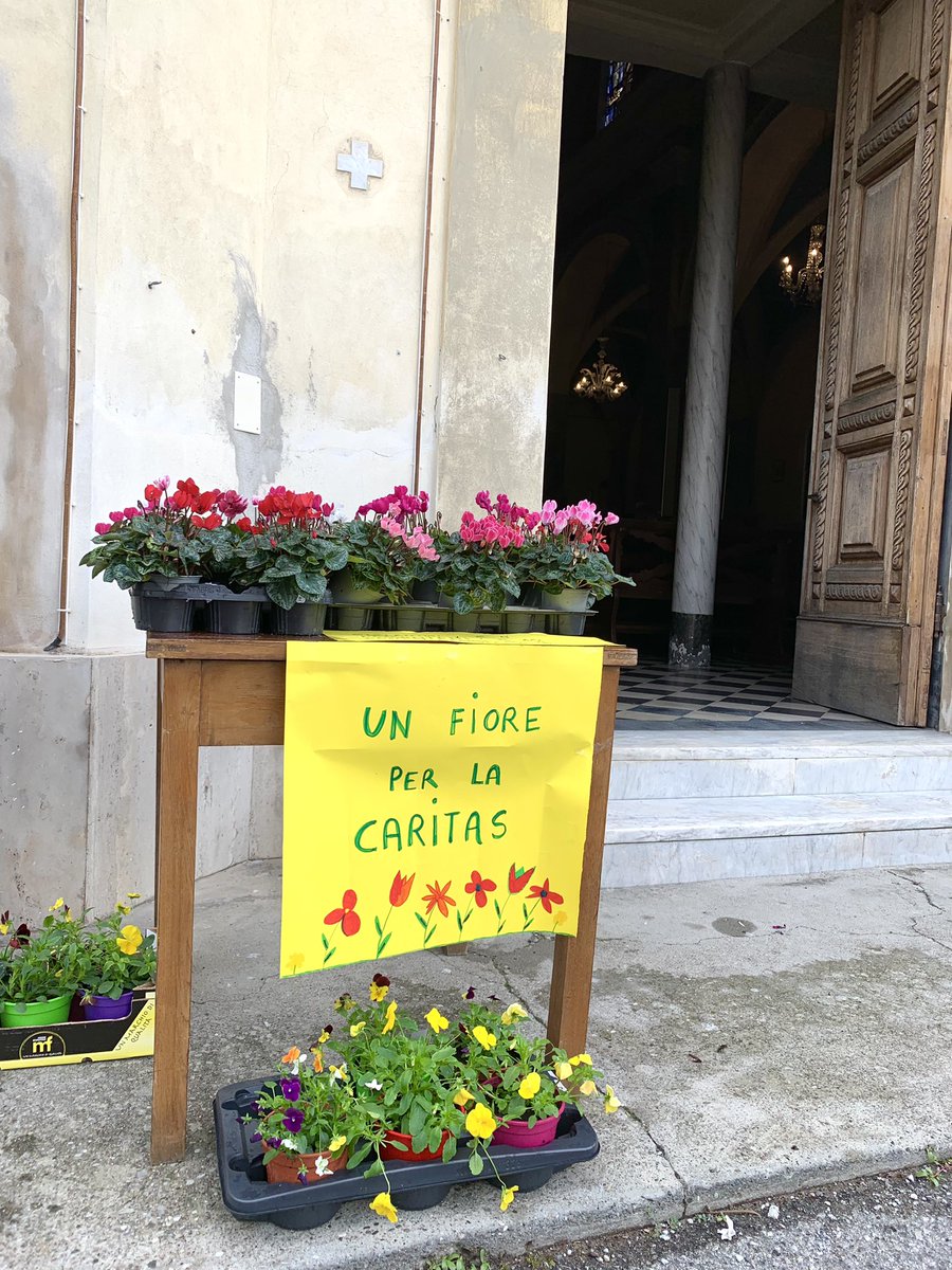 sanmacariolucca's tweet photo. Questa mattina acquista un fiore per la Caritas 🌺 Trovi tutti i dettagli all’ingresso della Chiesa ⛪️💫 https://t.co/ibJtiO9M8n