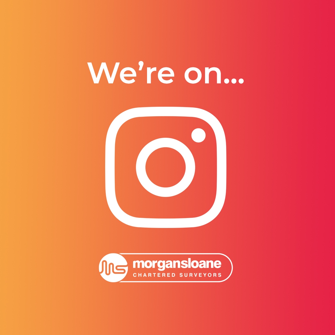 Morgan Sloane tweet media