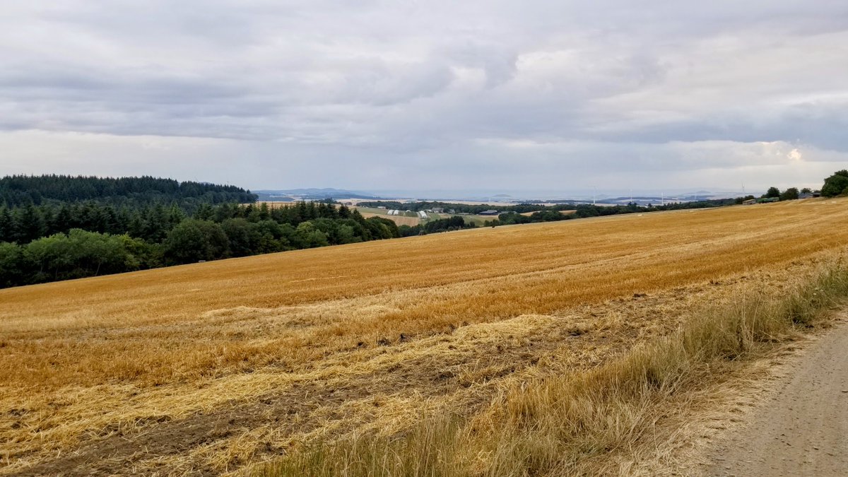 HalloEifel's tweet photo. Impressionen aus der Eifel

#eifel #wald #urlaub #ferien #freizeit #wandern #laufen #erholung #entspannung #guteluft #unterkunft #pension #schnee #hotel 
https://t.co/qoVGymbAfA https://t.co/XqMLXjMRB0