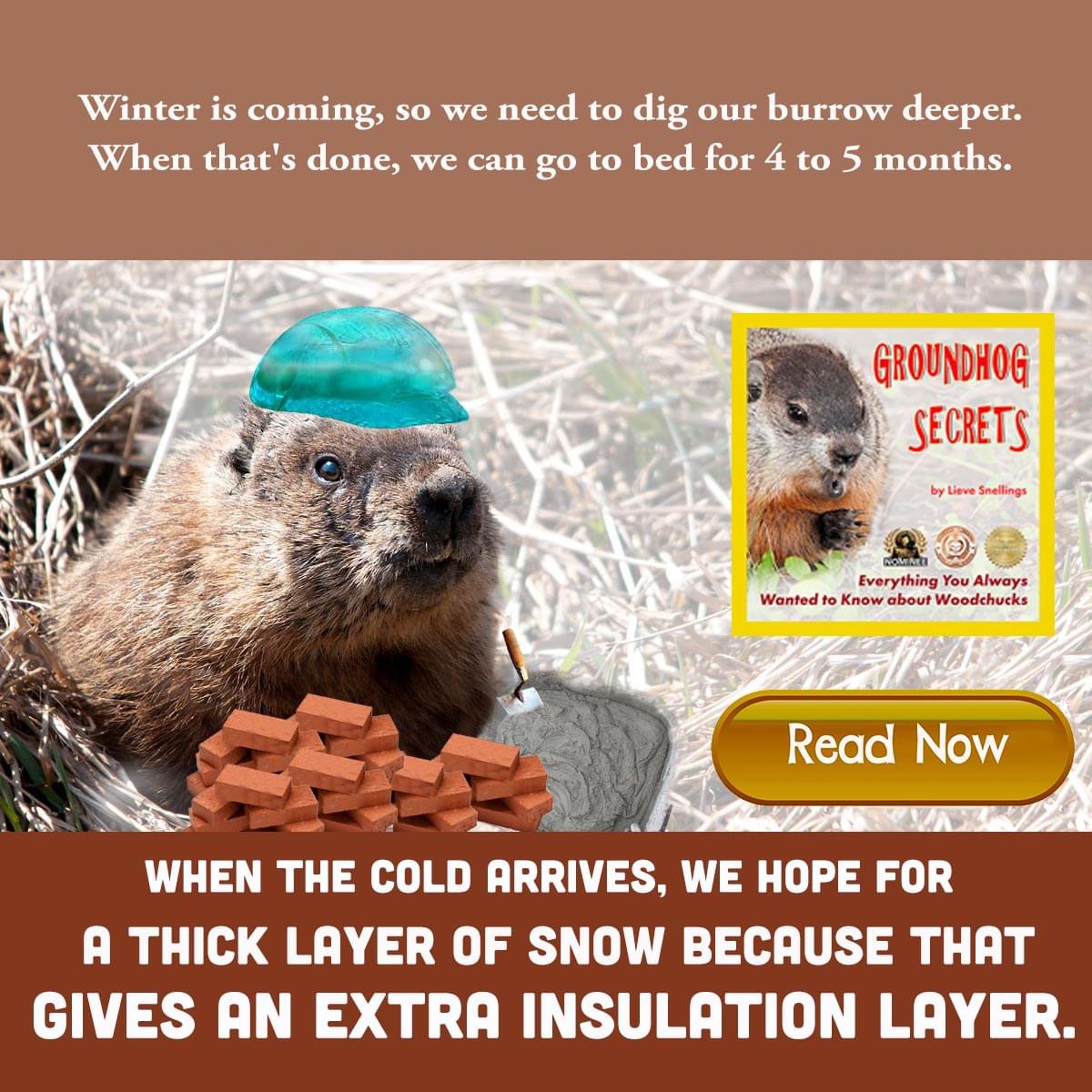 Seeking a joyful way for your kids to learn about groundhogs? This photo-illustrated book is invaluable for curious kids.
mybook.to/EBXF4Sg
#ChildrensBook #CoPromos #homeschooling #LearningIsFun