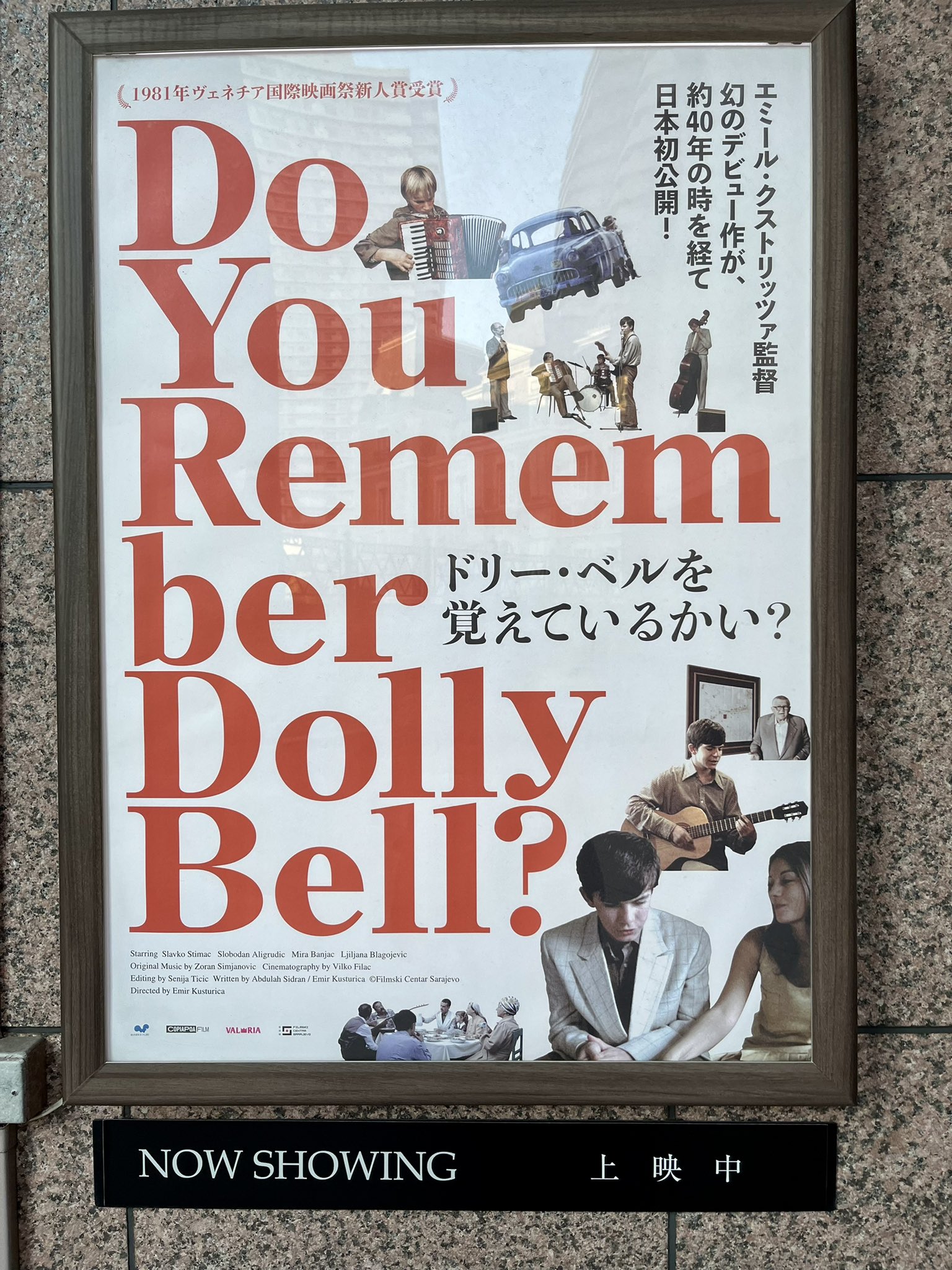 ウェディング・ベルを鳴らせ！ | あらすじ・内容・スタッフ