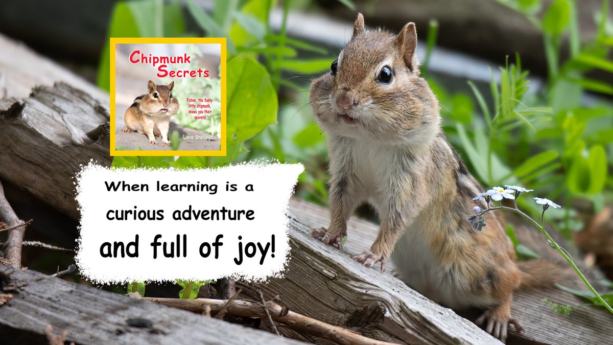 Have you ever wondered what it's like to have cheeks like a #chipmunk, where food stashes can rival a treasure trove? This captivating non-fiction picture book is an adventure your kids won’t want to miss!
mybook.to/6o8X
#CoPromos #LearningIsFun