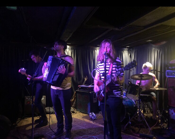 I’ve always loved accordions (my Grandad had one - he played in a wartime concert party) but here’s Brighton based psych punk band Dog Of Man totally rockin’ one at #goldenlionbristol last night 🪗