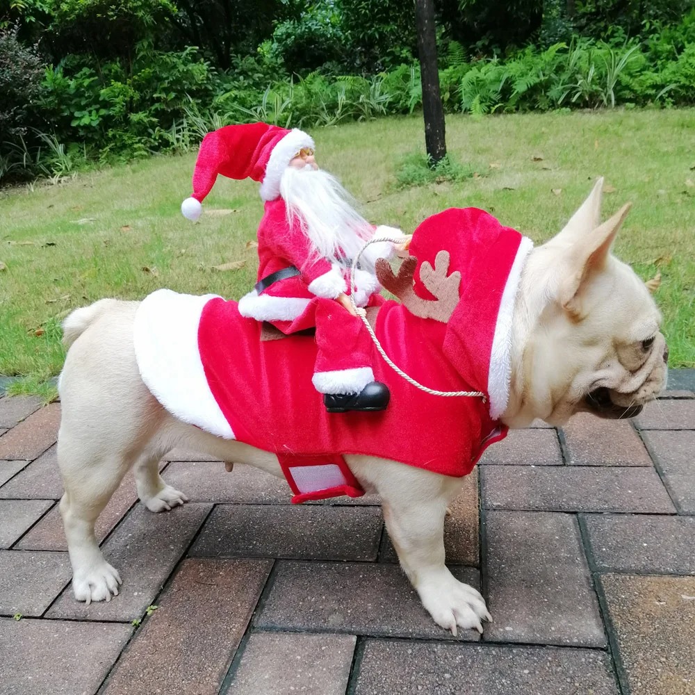 sarawanan27982's tweet photo. Just for pet lovers  Christmas Pet Dog Santa Riding https://t.co/7Tonw7Q3Es

#INDvsENG #AdamJohnson #OregonState #UNLV #HappyHalloween #BearDown #ChristopherWalken #Wordle862 #HawaiiFB #Colorado #BettyBoop #NateBargatze #Igor #GeorgiaTech #UCLAn #JonathanSmith #WhoinHololive https://t.co/oQ1uez5g4N