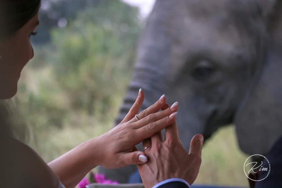 Cthrume71's tweet photo. Creating timeless memories from unique moments is what I love to do and why I love photography β₯οΈ
https://t.co/oVK5uAJcAh
#weddingphotography
#ThulaThulaGameReserve #safari #cthrume #momentsimtime #memoriesinfocus
#stormdaylightsun https://t.co/bQ9BDMoVEZ