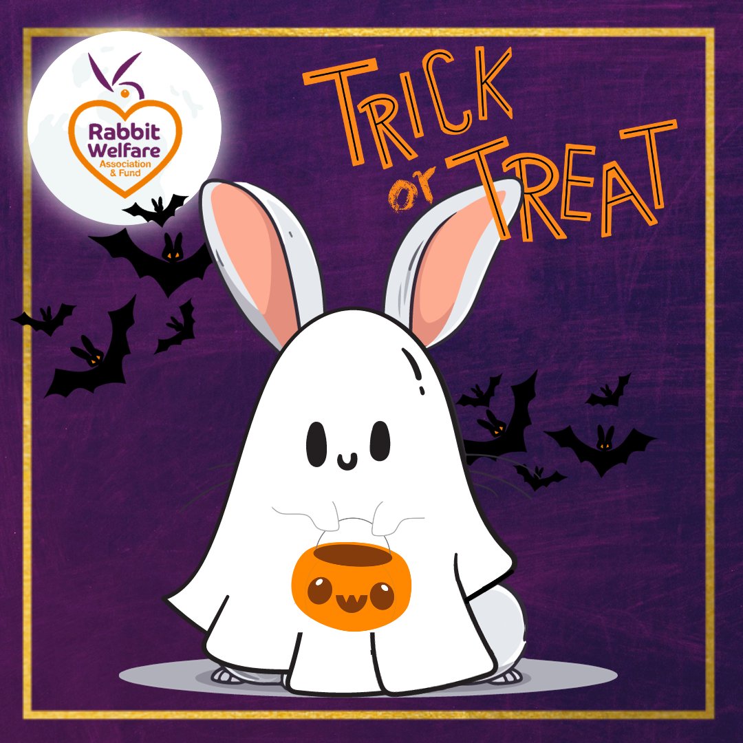 Trick or treat, rabbit feet, give me lots of hay to eat! 😋 Although rabbits have a sweet tooth, they should never overdo the treats! 🍬 Remember that your rabbits’ diet should consist of 85% hay (approx. their body size) every day!