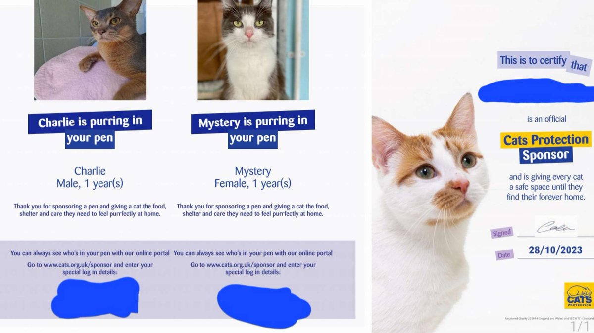 yeezonline's tweet photo. @MozzyGG surprised me last night with a little gift...

WE ARE BOTH NOW @CatsProtection KITTY SPONSORS!!!!

one day my dream would be to be able to foster kitties in need... and to sponsor more!! for now im happy with this... and the money we are raising!

https://t.co/rGIRngGB0p https://t.co/9KbiNaDgFW