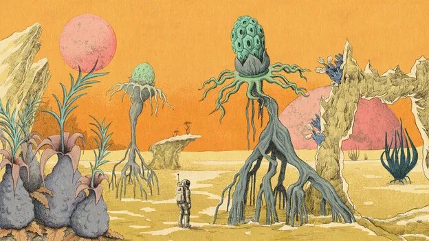 o_tusu's tweet photo. Alien plants🌱👽 
@ZariaGorvett https://t.co/B9pdhd39HC