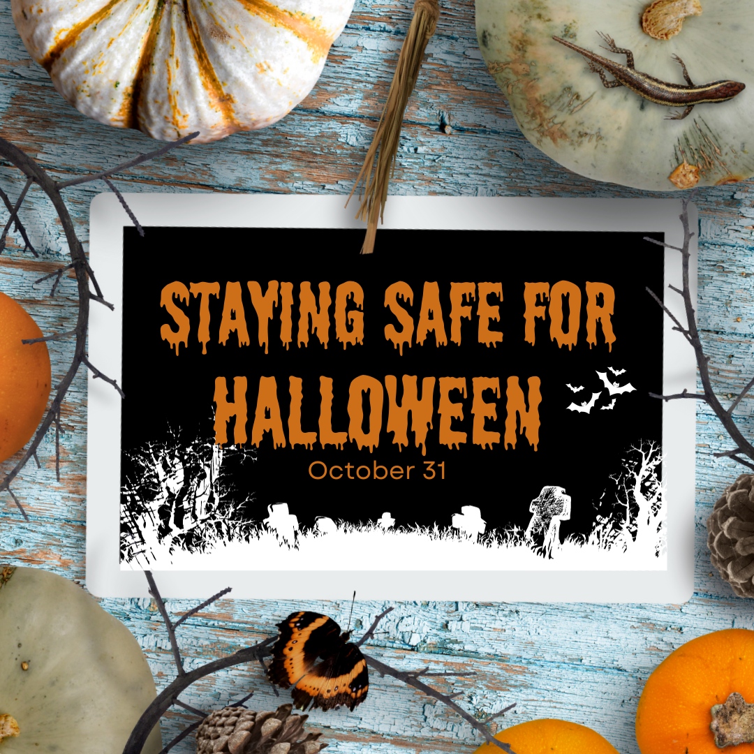 The clocks have gone back and Halloween and Bonfire night are fast approaching alongside darker nights. 

We have 'No Trick or Treater' posters in our centre that you're more than welcome to use to prevent anyone knocking on your door!
