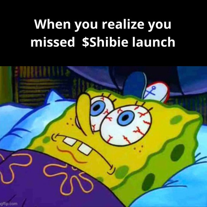Missing the launch is sad, but it's even worse to not buy $Shibie before the #ToTheMoon flight
