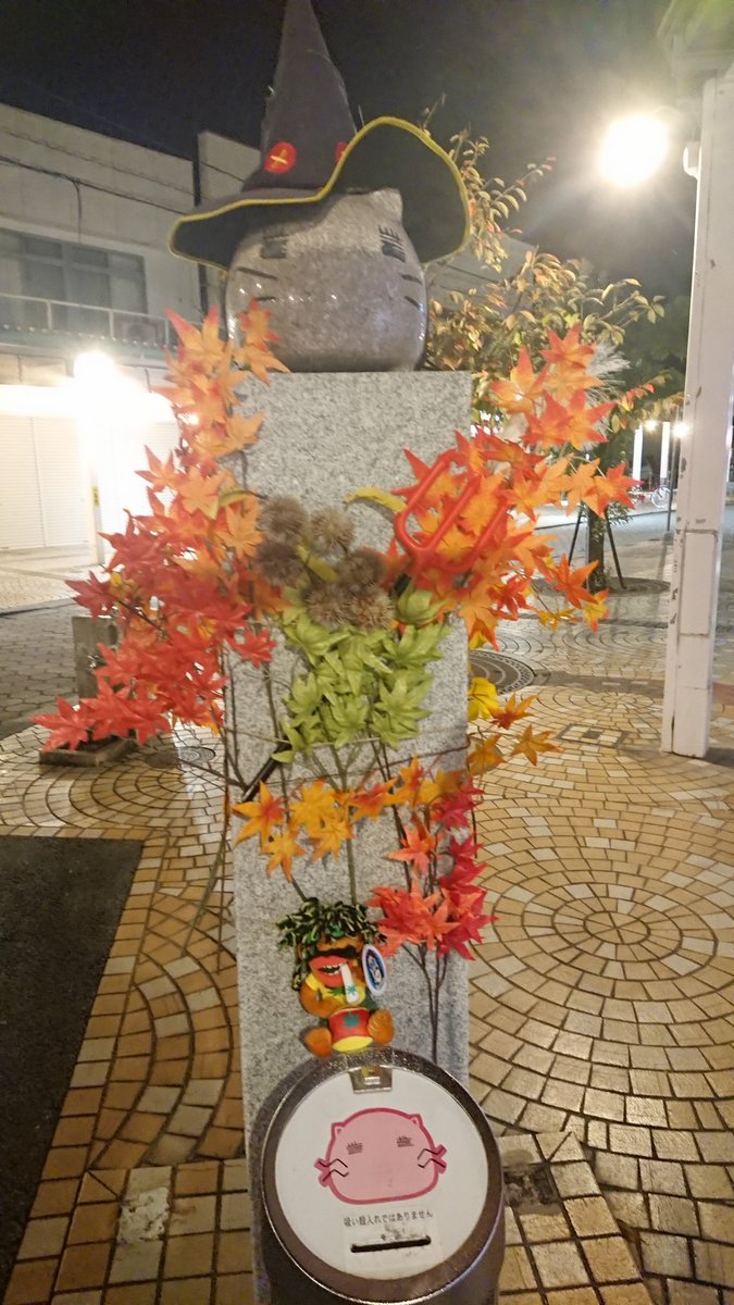 ももねこ様の帰還