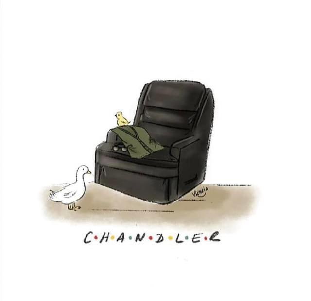 eds_afterglow's tweet photo. These artworks for Matthew Perry/Chandler bing are so beautiful 🥺

by Lucy Claire illustration and illustrated by Victoria on IG 🤍

#friends #chandlerbing #ripmatthewperry #ripchandlerbing https://t.co/1jDucF6Nwf